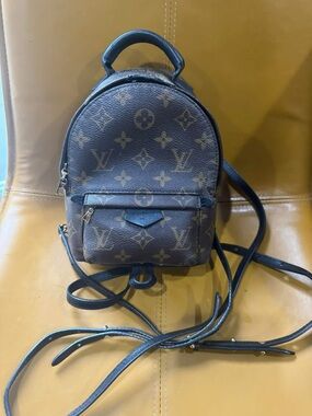 Louis Vuitton Monogram Mini palm spring backpack